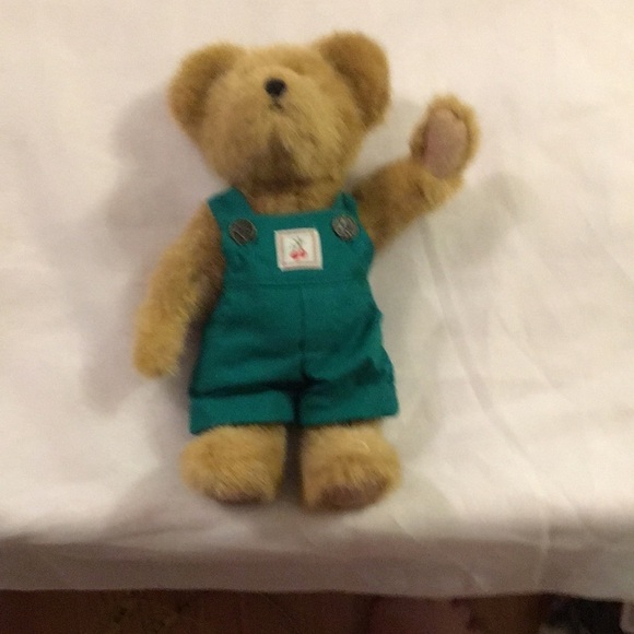 C.J. Cherrybeary Boyd’s Bear (AB) - Picture 4 of 4